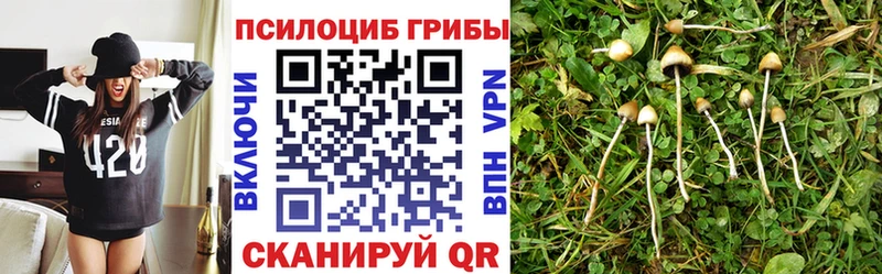 Псилоцибиновые грибы GOLDEN TEACHER Россошь