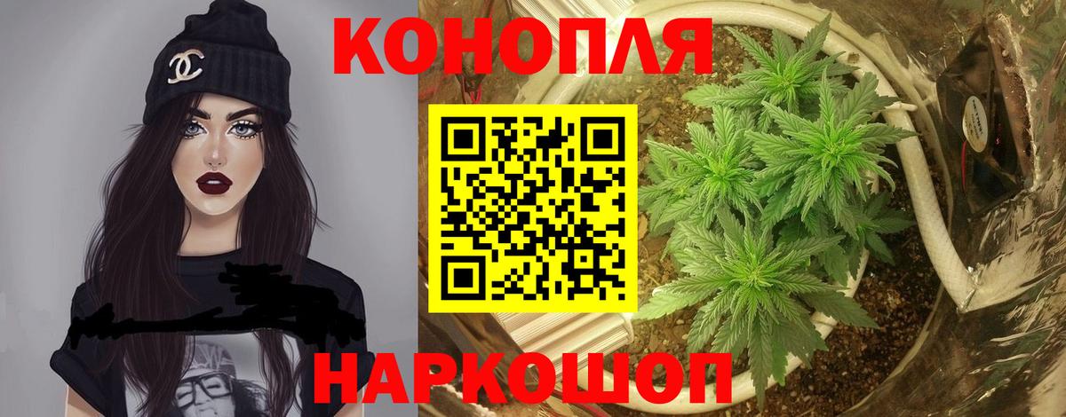 Шишки марихуана ГИДРОПОН Россошь